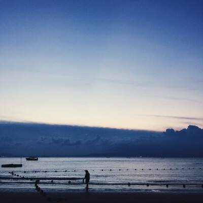 万博max体育官网